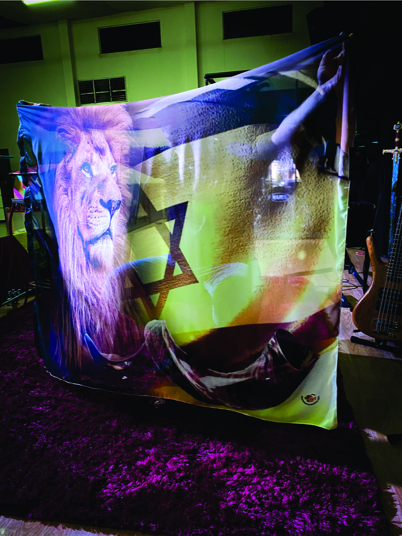 Bandeira BDA232 - Leão / Israel