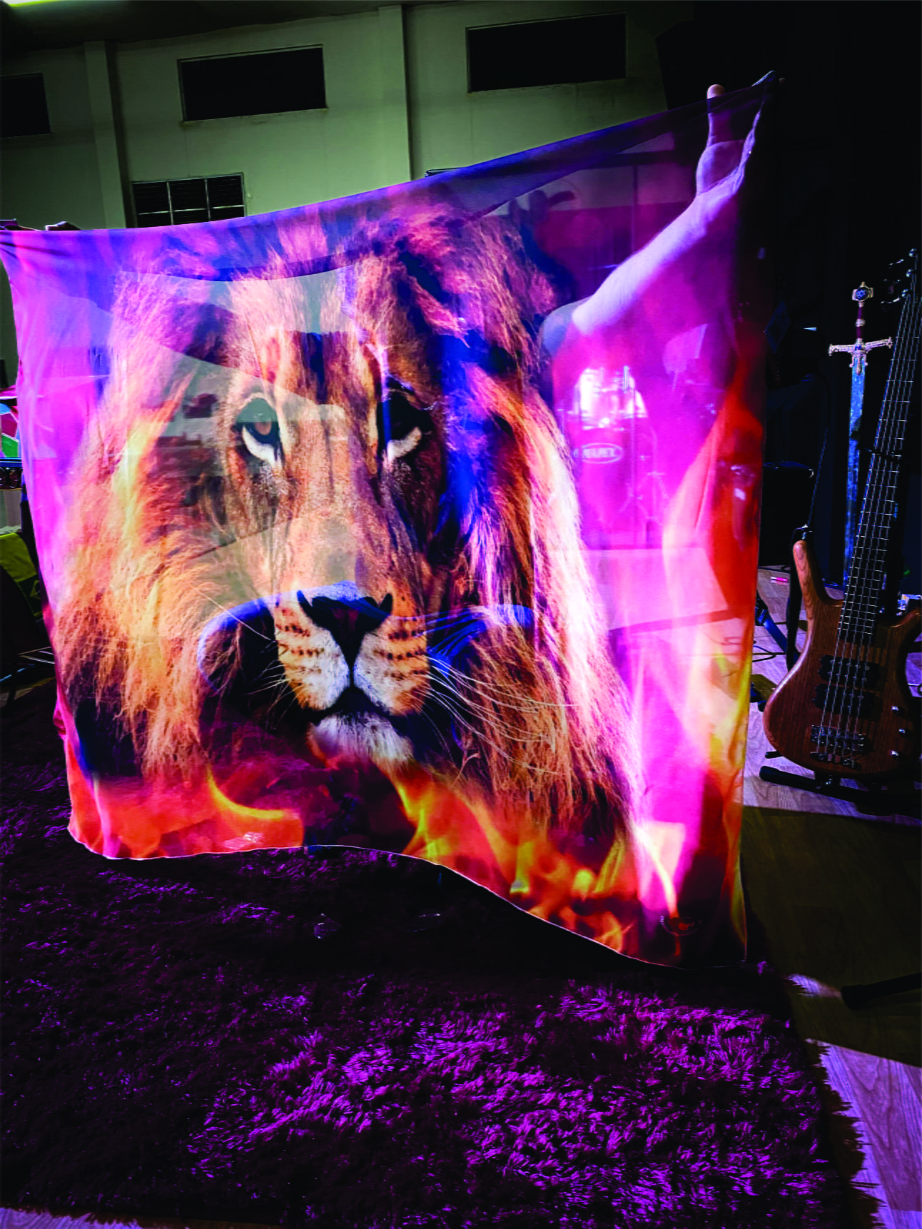 Bandeira BDA226 - Leão / Fogo